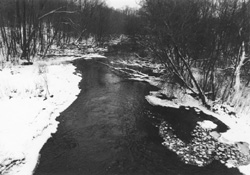 VV7.JPG (24516 BYTES)