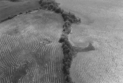 15.JPG (22801 BYTES)