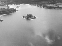 LID1.JPG (14381 BYTES)