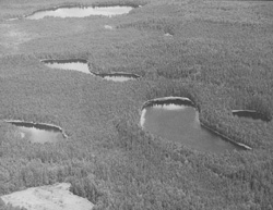 LID2.JPG (23042 BYTES)