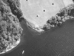 LID3.JPG (24833 BYTES)