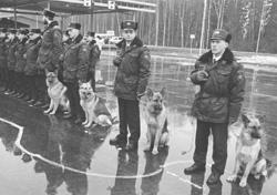 GG6.JPG (25993 BYTES)