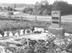 PAR2.JPG (30693 BYTES)