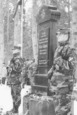 A3.JPG (70927 BYTES)