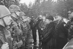 A5.JPG (23012 BYTES)