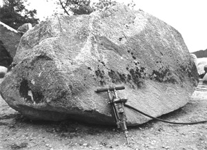 RR1.JPG (40165 BYTES)