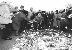 K11.JPG (26929 BYTES)