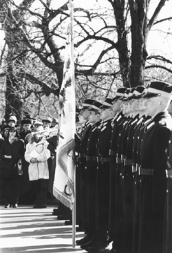 K9.JPG (48668 BYTES)