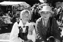 LI1.JPG (20818 BYTES)