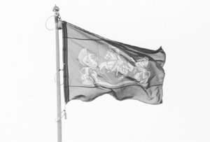 LL5.JPG (12594 BYTES)