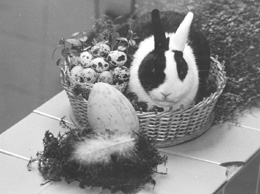 L2.JPG (24406 BYTES)