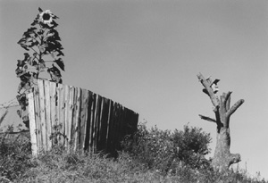 MI1.JPG (24771 BYTES)