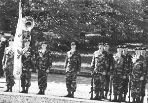 C7.JPG (46119 BYTES)