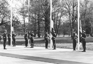 II1.JPG (40020 BYTES)