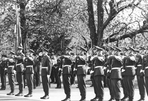 II4.JPG (47982 BYTES)