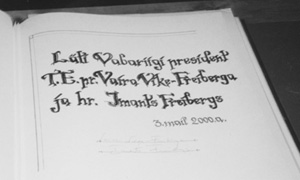 12.JPG (17529 BYTES)