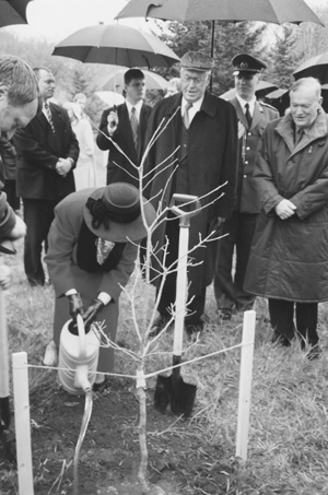 18.JPG (64384 BYTES)