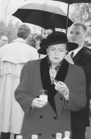 19.JPG (40356 BYTES)