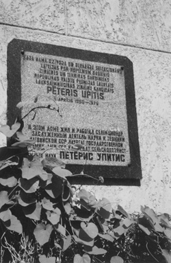 U5.JPG (53945 BYTES)