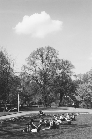 MI1.JPG (83020 BYTES)