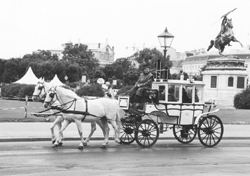 AU6.JPG (28184 BYTES)