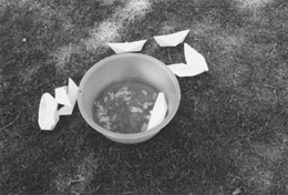 MI2.JPG (32250 BYTES)