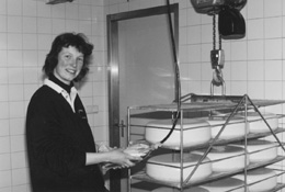 UD5.JPG (20056 BYTES)