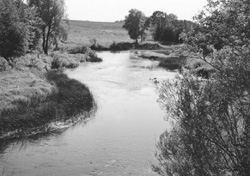 BA17.JPG (24716 BYTES)