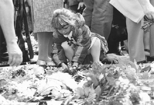 P4.JPG (36313 BYTES)