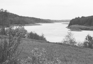 DABA.JPG (23998 BYTES)