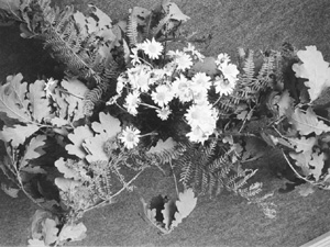 PU2.JPG (44541 BYTES)