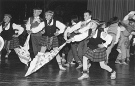 S1.JPG (26701 BYTES)