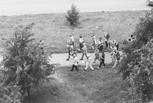 MI1.JPG (34706 BYTES)