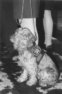 R3.JPG (40824 BYTES)