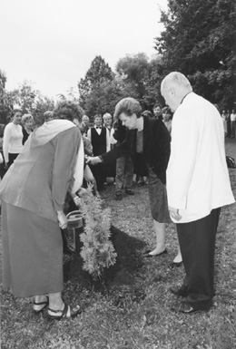 16.JPG (43678 BYTES)