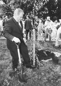 V1.JPG (42960 BYTES)