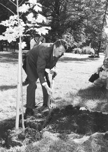 V2.JPG (42308 BYTES)