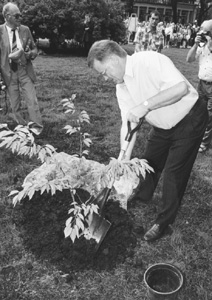 V8.JPG (38426 BYTES)