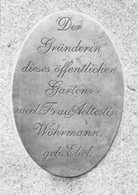 VV2.JPG (31778 BYTES)