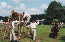 BR5.JPG (38134 BYTES)