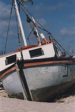 M10.JPG (46122 BYTES)