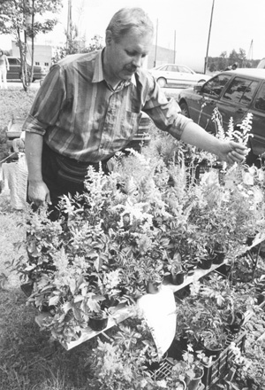 PI17.JPG (79761 BYTES)