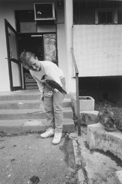 M31.JPG (37887 BYTES)