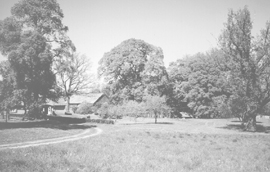 LEJENIEKI1 COPY.JPG (35235 BYTES)