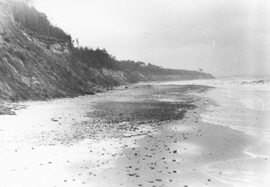 X4.JPG (32762 BYTES)