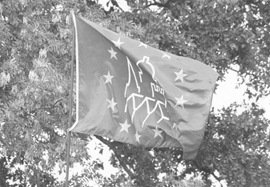 X5.JPG (48821 BYTES)