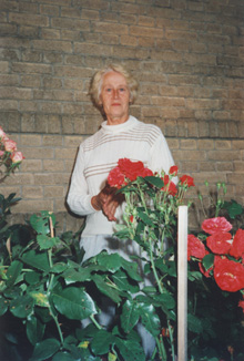 C3.JPG (47681 BYTES)