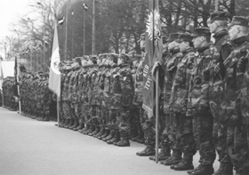 P3.JPG (29422 BYTES)