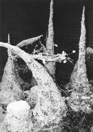 F7.JPG (99476 BYTES)