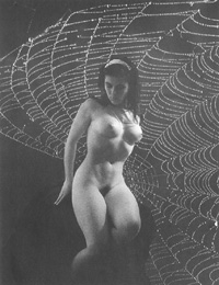 BR2.JPG (26740 BYTES)